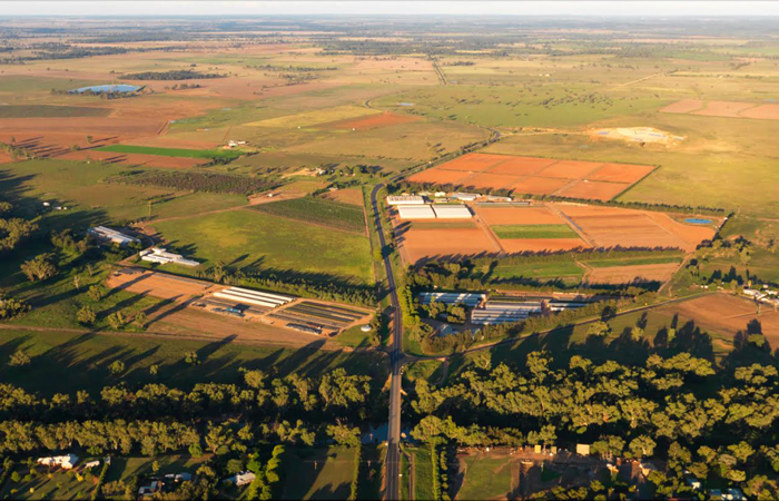 Narromine Transplants